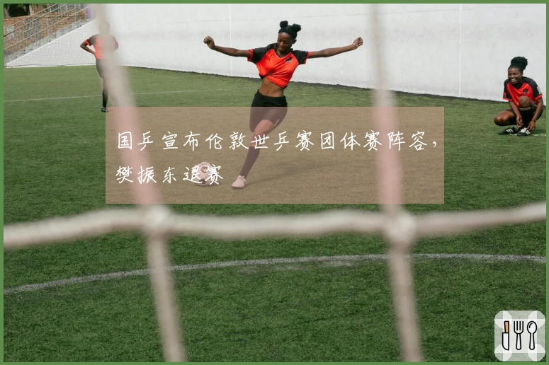 国乒宣布伦敦世乒赛团体赛阵容，樊振东退赛